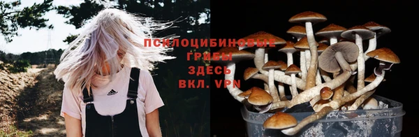бутират Алзамай