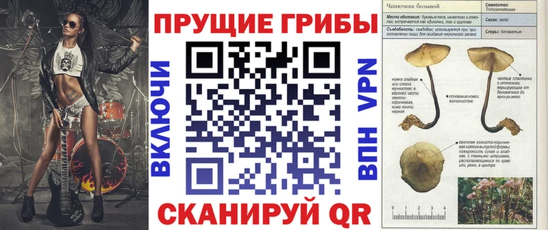 omg ТОР  Бодайбо  Галлюциногенные грибы ЛСД 